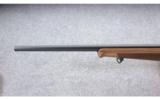 Steyr Arms ~ Zephyr II ~ .17 HMR - 7 of 10