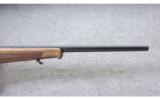 Steyr Arms ~ Zephyr II ~ .17 HMR - 5 of 10