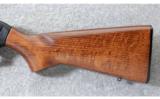 CZ ~ CZ 512 Hardwood Blued ~ .22 LR - 6 of 6