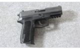 SIG Sauer ~ SP2022 Nitron Full Size ~ 9mm Para. - 1 of 6