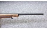 Steyr Arms ~ Zephyr II ~ .17 HMR - 6 of 10