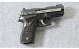 SIG Sauer ~ P229 Equinox ~ .40 S&W - 1 of 7