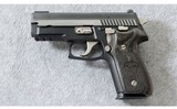 SIG Sauer ~ P229 Equinox ~ .40 S&W - 2 of 7