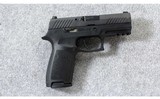 Sig Sauer ~ P320 Carry ~ 9mm Para. - 1 of 7