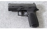 Sig Sauer ~ P320 Carry ~ 9mm Para. - 2 of 7