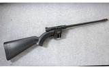 Henry Repeating Arms ~ US Survival AR-7 Model H002B ~ .22 LR - 1 of 9