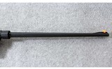 Henry Repeating Arms ~ US Survival AR-7 Model H002B ~ .22 LR - 4 of 9