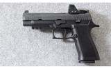 Sig Sauer ~ P320 RXP XFull Size ~ 9mm Para. - 2 of 7