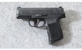 Sig Sauer ~ P365 ~ .380 acp - 2 of 3