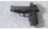 Sig Sauer ~ P365XL Romeo Zero Combo ~ 9mm Para. - 2 of 7