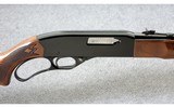 Winchester ~ Standard Model 255 ~ .22 WMR - 3 of 10