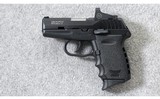 SCCY ~ CPX-2 RDR ~ 9mm Para. - 2 of 7