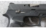 Sig Sauer ~ P250 Nitron ~ 9mm Para. - 7 of 7