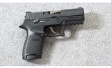 Sig Sauer ~ P250 Nitron ~ 9mm Para. - 1 of 7