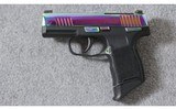 Sig Sauer ~ P365 380 Rainbow ~ .380 acp - 2 of 3