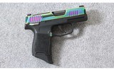 Sig Sauer ~ P365 380 Rainbow ~ .380 acp - 1 of 3