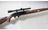 Remington ~ Nylon 66 Mohawk Brown ~ .22 LR - 1 of 10