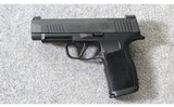 Sig Sauer ~ P365XL-9-BXR3 ~ 9mm Para. - 2 of 3