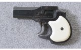 High Standard ~ DM 101 Derringer ~ .22 WMR - 2 of 3