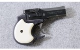 High Standard ~ DM 101 Derringer ~ .22 WMR - 1 of 3