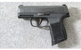 Sig Sauer ~ P365 Nitron Micro Compact ~ 9mm Para. - 2 of 3