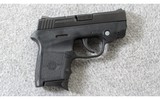 Smith & Wesson ~ Bodyguard 380 with Laser ~ .380 ACP - 1 of 3