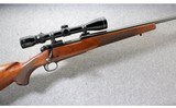 Winchester ~ Model 70 XTR Sporter Varmint~ .243 Win. - 1 of 10