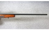 Winchester ~ Model 70 XTR Sporter Varmint~ .243 Win. - 4 of 10