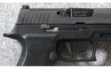 Sig Sauer ~ P320-XTEN ~ 10mm Auto - 7 of 7