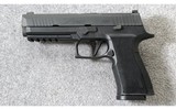 Sig Sauer ~ P320-XTEN ~ 10mm Auto - 2 of 7