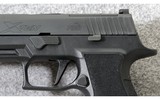 Sig Sauer ~ P320-XTEN ~ 10mm Auto - 3 of 7