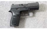 Sig Sauer ~ P320 ~ .45 acp - 1 of 7