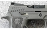 Sig Sauer ~ P320 XCarry Legion ~ 9mm Para. - 7 of 7