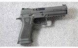 Sig Sauer ~ P320 X5 Legion ~ 9mm Para.