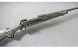 Savage ~ Model 111 Gray Laminated ~ .30-06 - 1 of 10