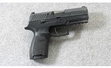 Sig Sauer ~ P320 ~ .45 acp - 1 of 7