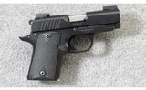 Kimber ~ Micro 9 ~ 9mm Para.