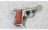 AMT ~ Backup ~ .380 acp - 1 of 3
