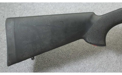 RWS ~ Model 89 by HOWA ~ .223 Rem.