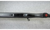 RWS ~ Model 89 by HOWA ~ .223 Rem. - 6 of 9