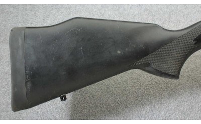 Weatherby ~ Vanguard ~ .22-250 Rem.