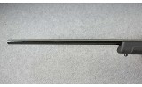 Savage ~ A17 ~ .17 HMR - 6 of 10