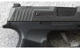 Sig Sauer ~ P365 X ~ 9mm Para. - 7 of 7