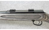 Savage ~ A17 Sporter ~ .17 HMR - 8 of 10