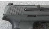 Sig Sauer ~ P365-380-BSS Optic Ready ~ .380 ACP - 7 of 7