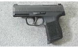 Sig Sauer ~ P365-380-BSS Optic Ready ~ .380 ACP - 2 of 7