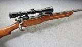 Enfield ~ Sporterized P14 Enfield ~ .303 British