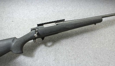 RWS ~ Model 89 by HOWA ~ .223 Rem.