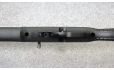 Rossi ~ RS22 ~ 22 Long Rifle - 7 of 10