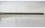 BSA ~ Box Lock ~ 12 Gauge - 4 of 11
